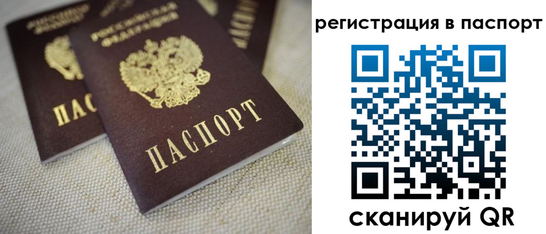прописка гарантия в Ленинске